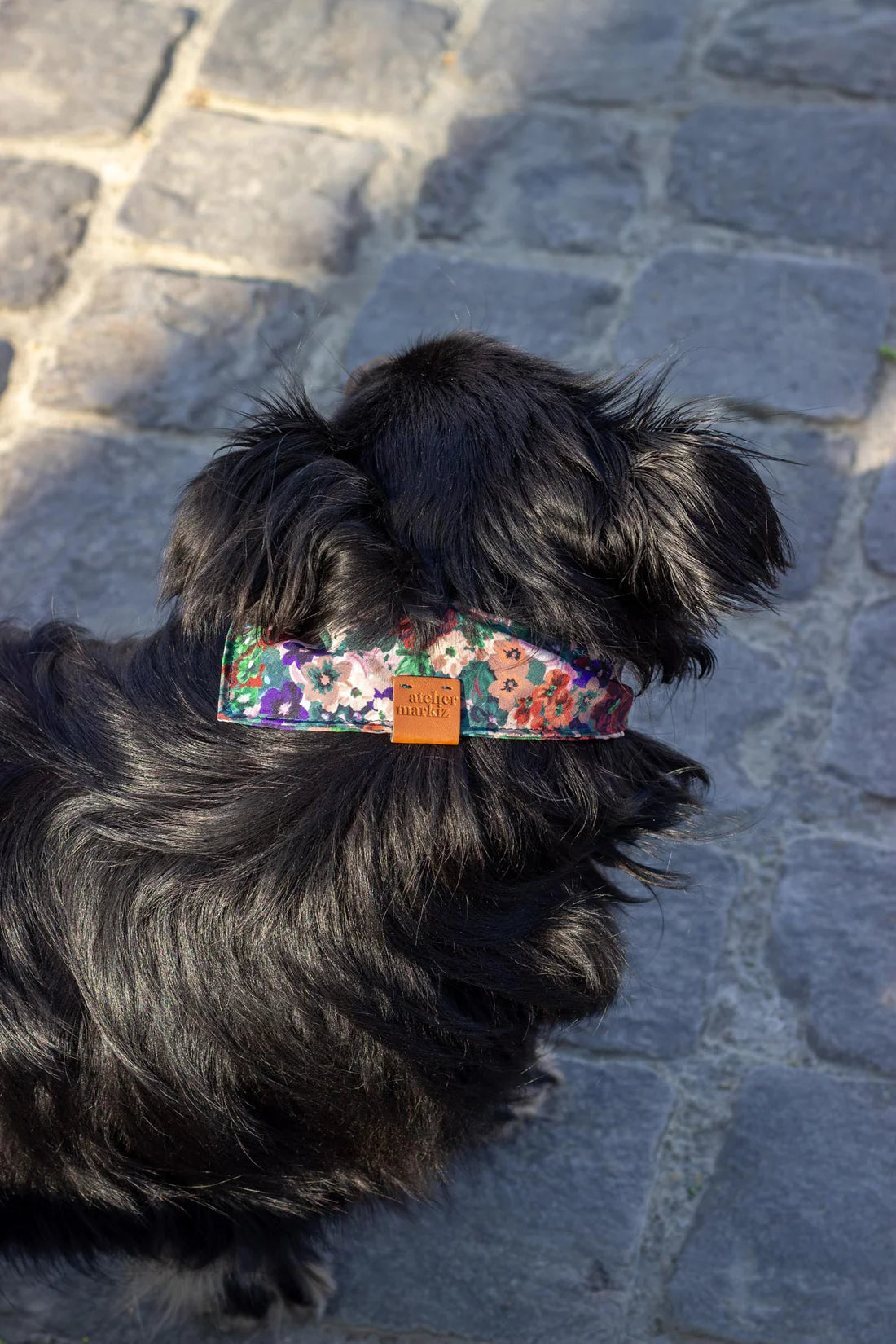 Bandana pour chien Scarlett (plusieurs tailles)