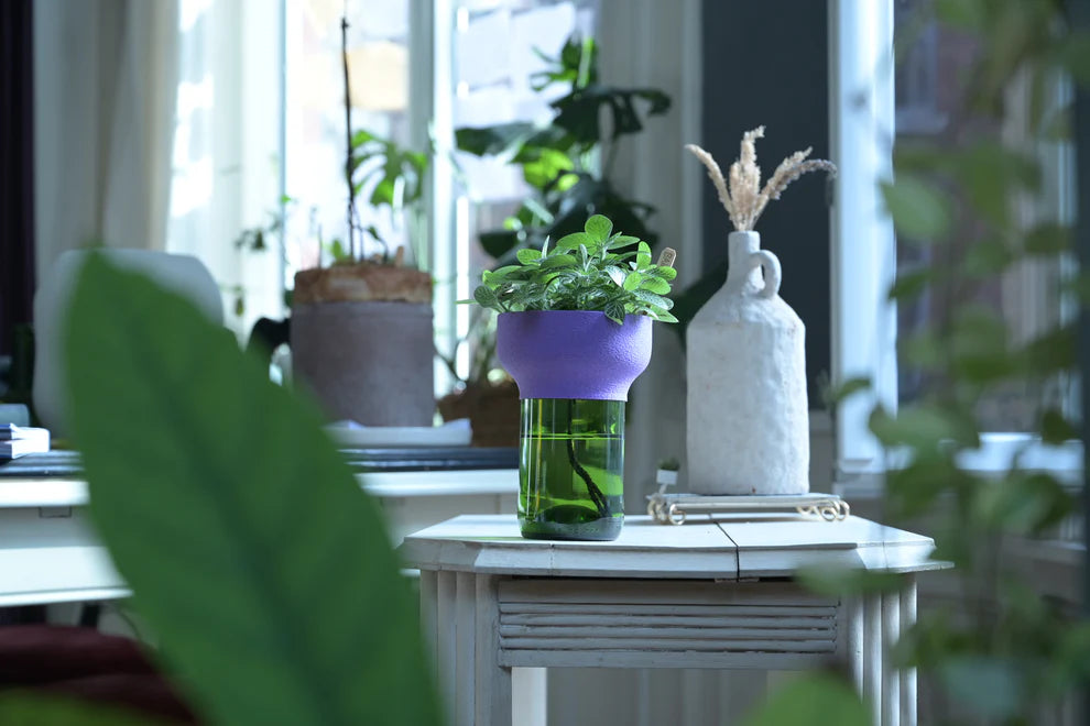 Bulbu Pot de fleur autonome