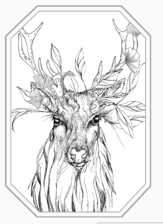 Boîte de 9 monolithes d'encens - Le Cerf