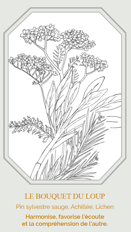 Bouquet de fumigation - Le Loup