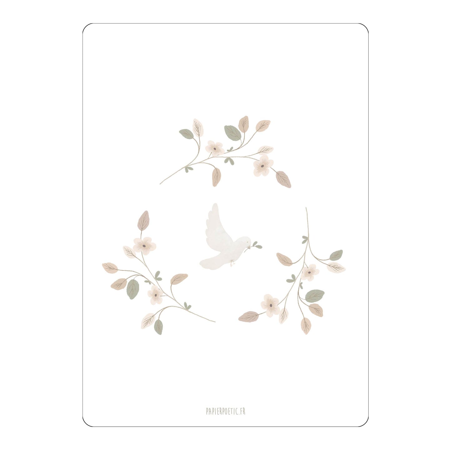 Carte Colombe