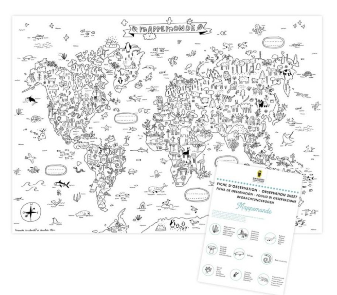 Coloriage géant - Mappemonde