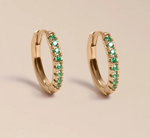 Mini créole brillante Basilic (unité)