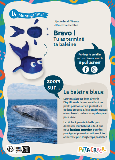 Kit à fabriquer Mes 6 animaux à protéger en Pâte à Modeler