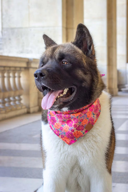 Bandana pour chien Bellagio (plusieurs tailles)