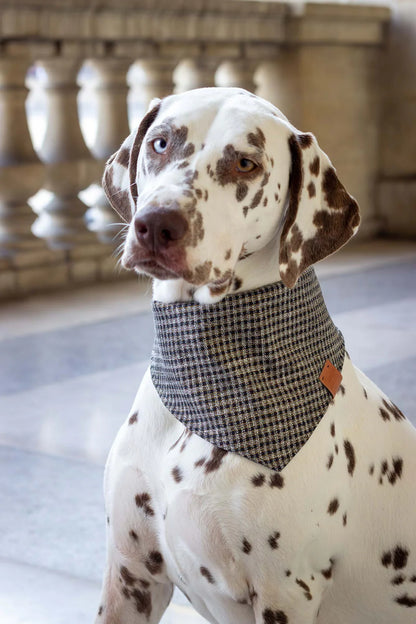 Bandana pour chien Cambon (plusieurs tailles)