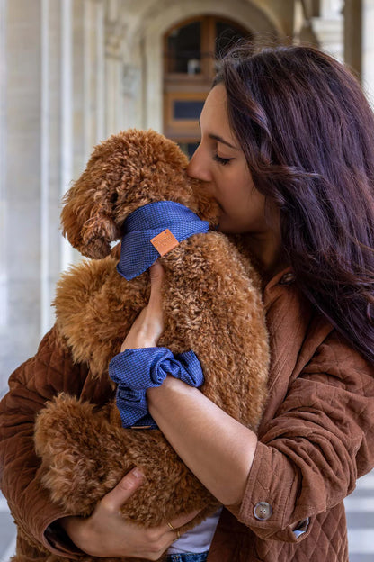 Bandana pour chien Glasgow (plusieurs tailles)