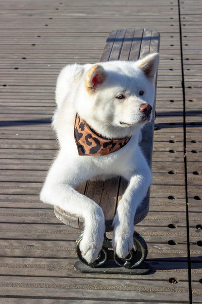 Bandana pour chien Wild (plusieurs tailles)