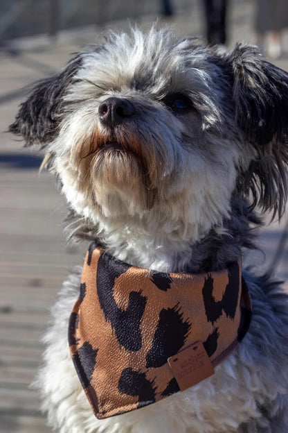 Bandana pour chien Wild (plusieurs tailles)