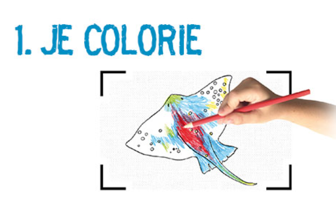 Cahier de coloriage animé - La Mer