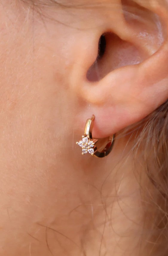 Boucle d'oreille Prisca (unité)