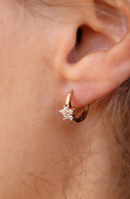 Boucle d'oreille Prisca (unité)