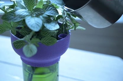 Bulbu Pot de fleur autonome