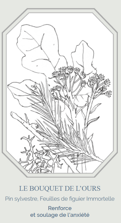 Boîte de 9 monolithes d'encens - L'Ours