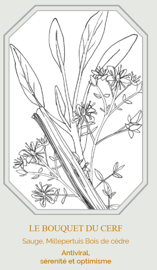 Bouquet de fumigation - Le Cerf