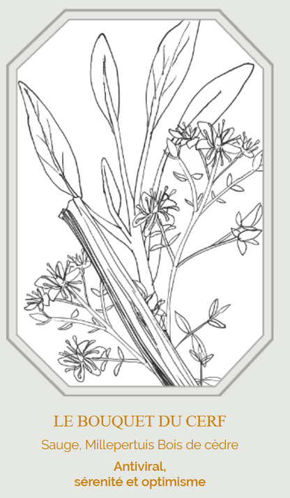 Bouquet de fumigation - Le Cerf