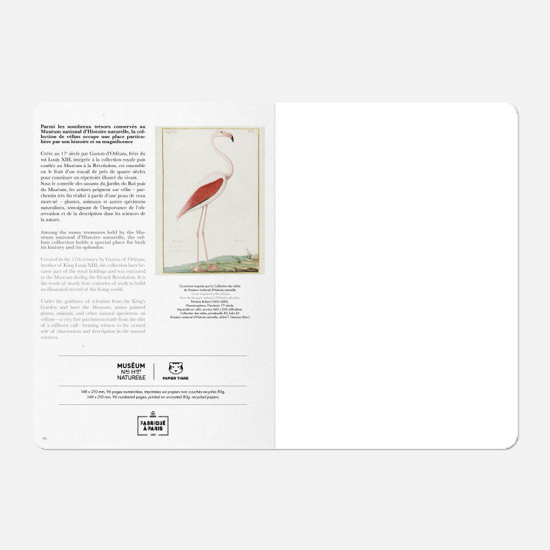 Carnet A5 Flamingo