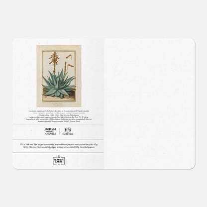 Carnet A6 Aloe