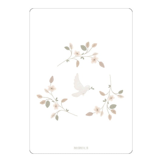 Carte Colombe