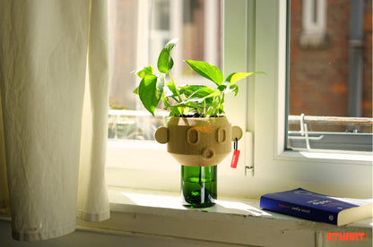 Collection Family Pot de fleur autonome (plusieurs coloris)