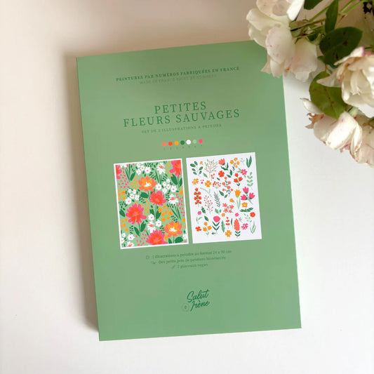 Kit peinture par numéros Petites fleurs sauvages