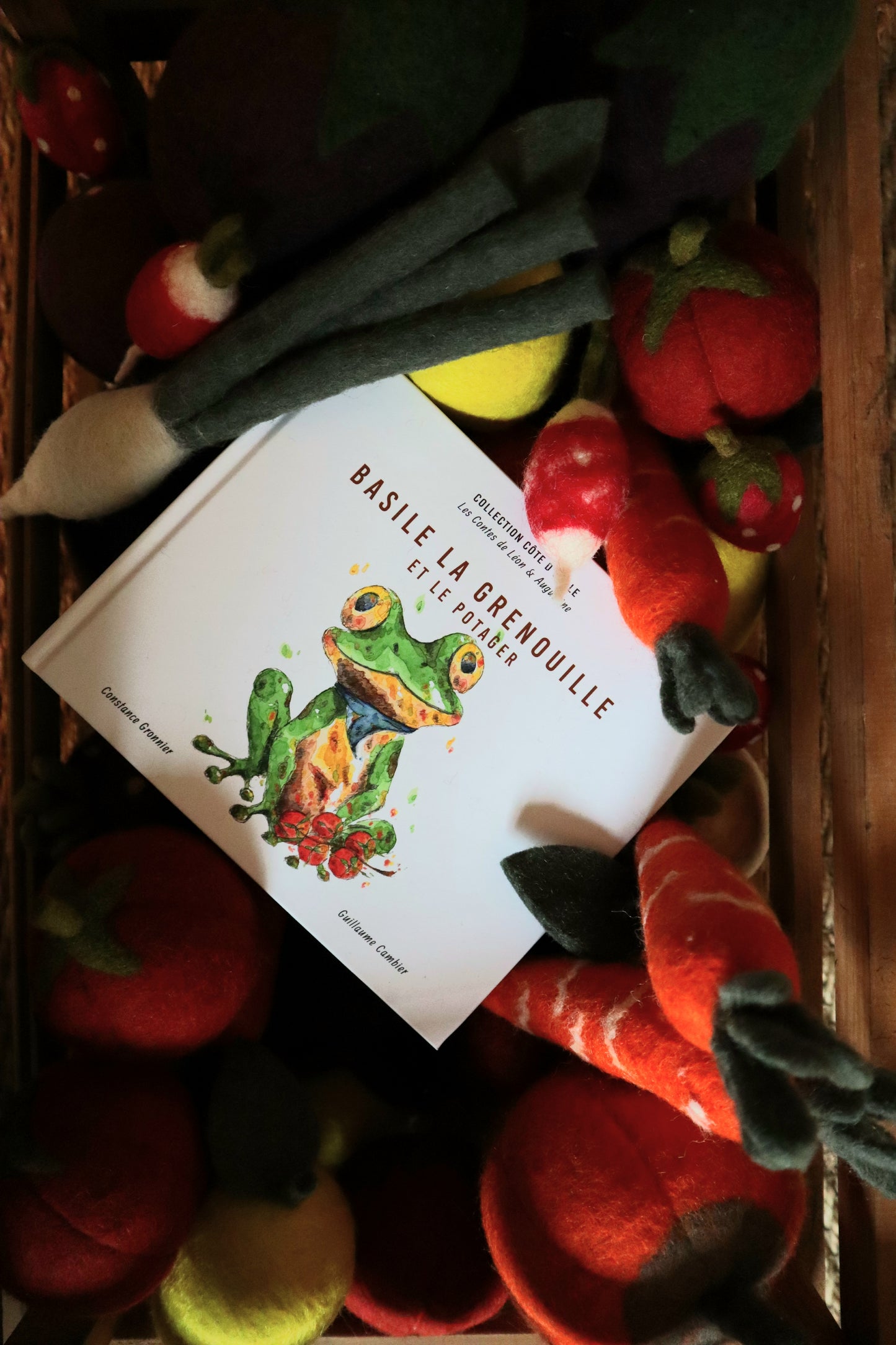 Livre Tome 5 Basile la grenouille