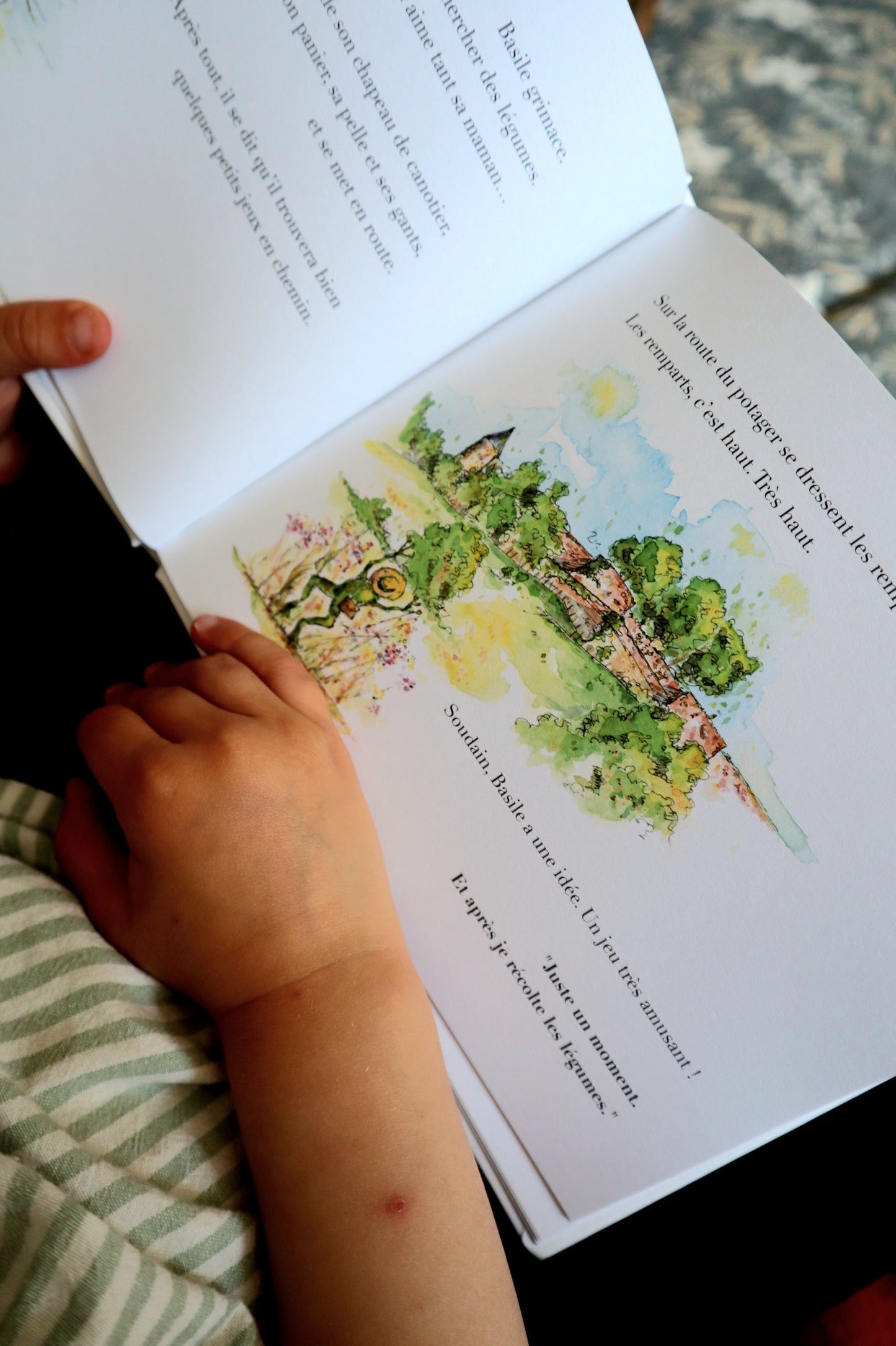 Livre Tome 5 Basile la grenouille