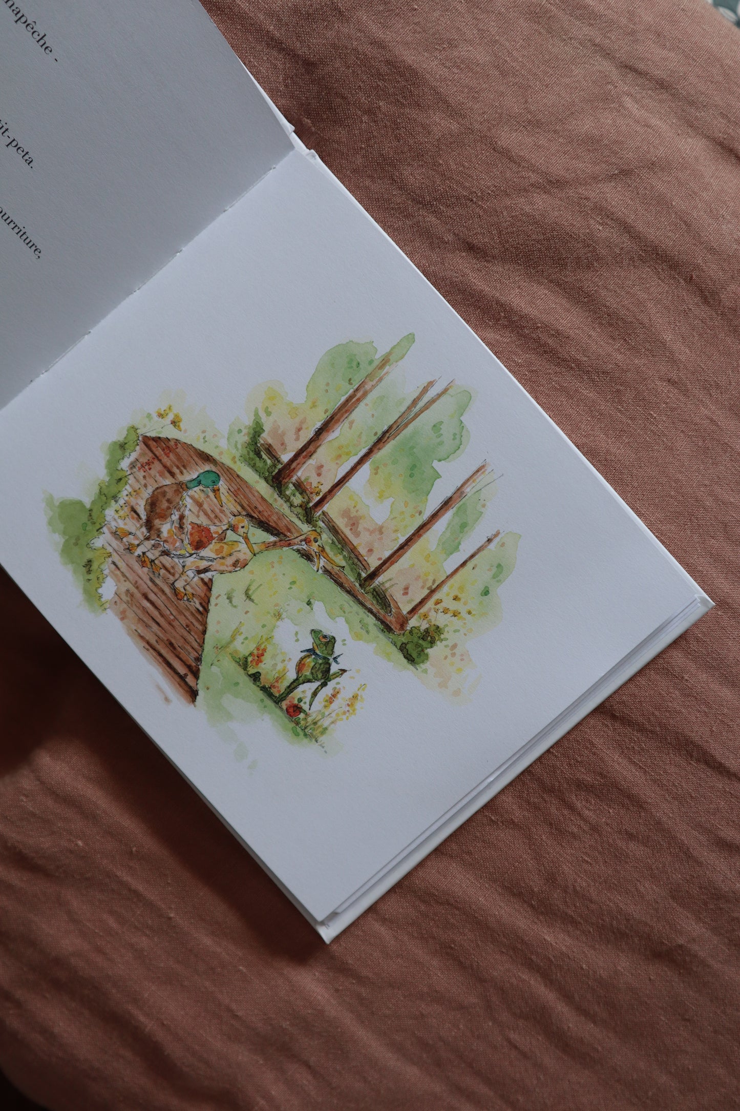 Livre Tome 5 Basile la grenouille