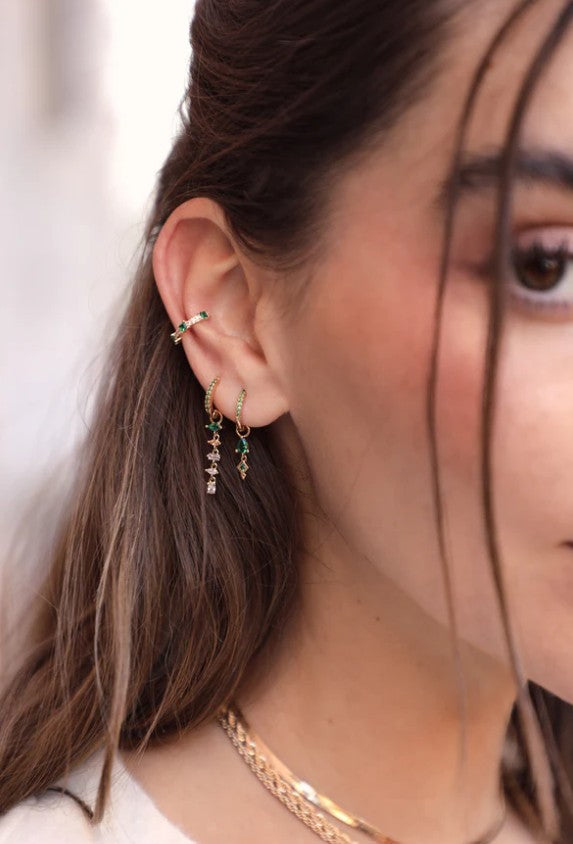 Mini créole brillante Basilic (unité)