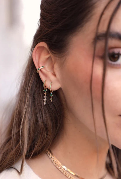 Mini créole brillante Basilic (unité)