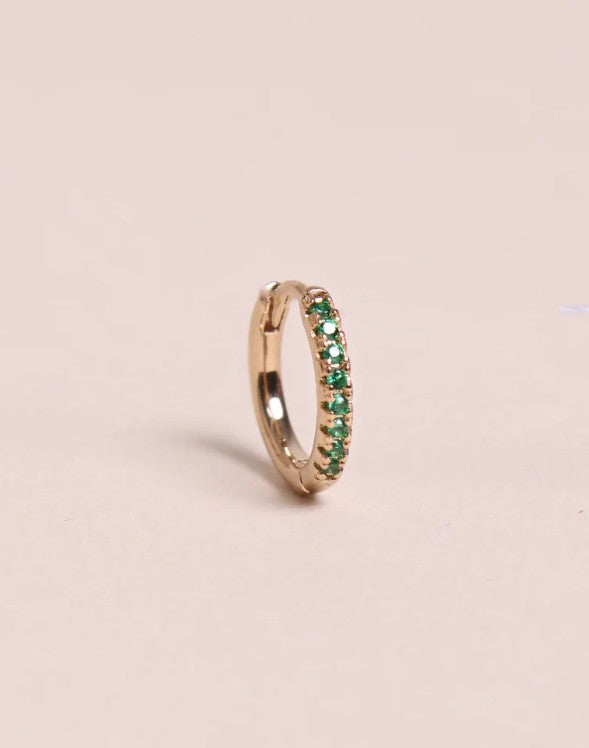 Mini créole brillante Basilic (unité)