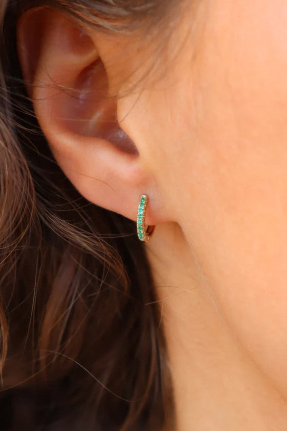 Mini créole brillante Basilic (unité)