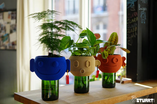 Collection Family Pot de fleur autonome (plusieurs coloris)