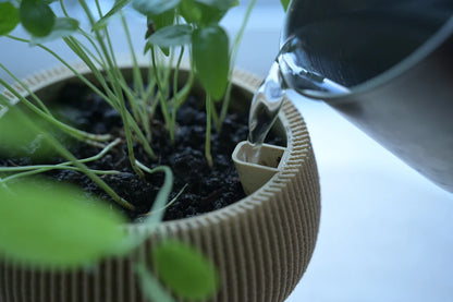 Zini Pot de fleur autonome