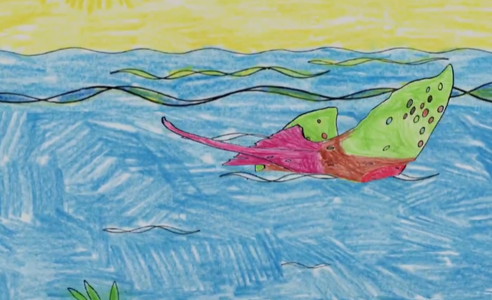 Cahier de coloriage animé - La Mer