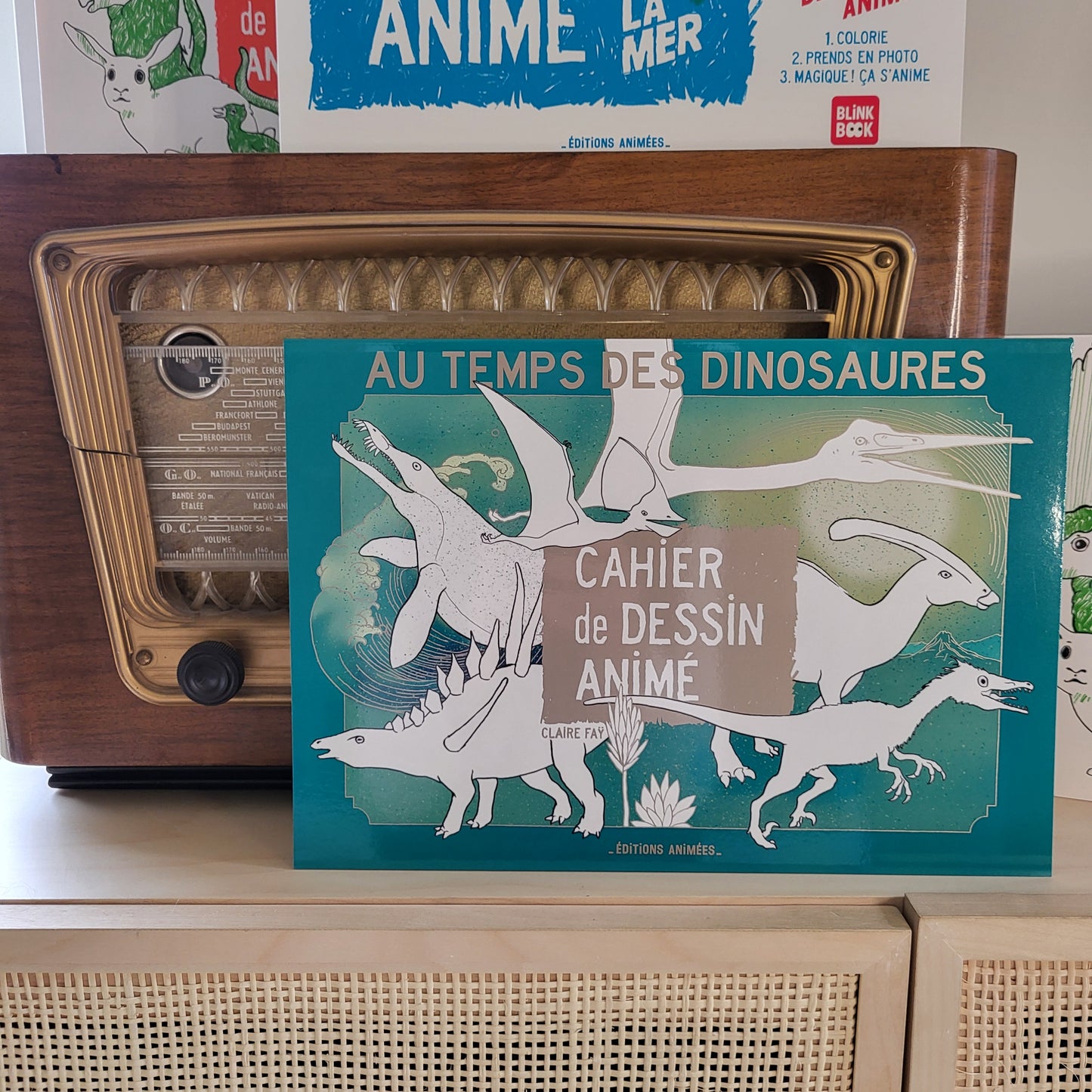 Cahier de coloriage animé - Au temps des dinosaures